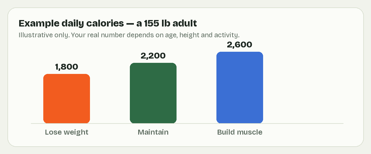 Example daily calories by goal: lose, maintain, or build